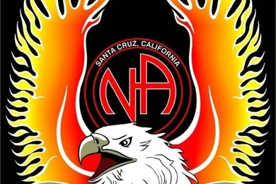 Narcotics Anonymous Quotes. QuotesGram