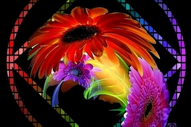 Back Grounds Narcotics Anonymous Inspirational Quotes. QuotesGram