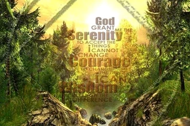 Back Grounds Narcotics Anonymous Inspirational Quotes. QuotesGram