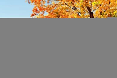 Scenery Backgrounds – 2560×1600 High Definition Wallpapers ...