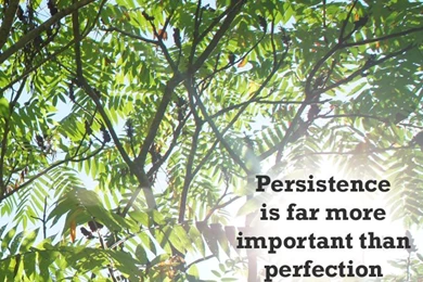 Wallpaper persistence_jsxphw.png