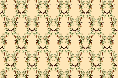 Freebie Wednesday! Hummingbird Pattern Backgrounds