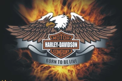 Free Harley Davidson Wallpapers   Wallpapers Cave