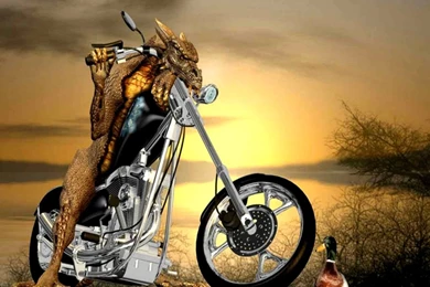 Free Harley Davidson Wallpapers