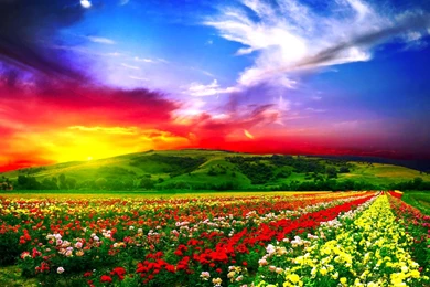 A Rainbow Of Colors Computer Wallpapers, Desktop Backgrounds ...