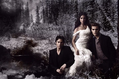Wallpapers: Tvd_fans