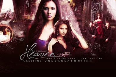 Vampire Diaries Wallpapers 12 By Mia47 On DeviantArt