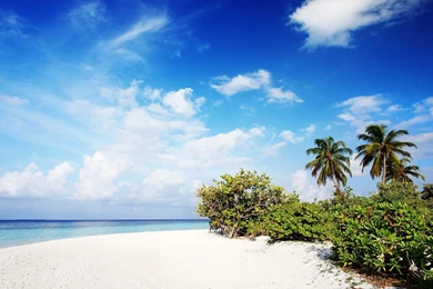 White Hammock In The Maldives Wallpapers
