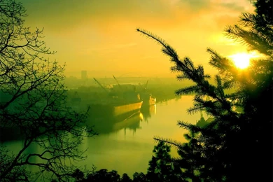 Summer Morning Wallpapers   Crazy Frankenstein