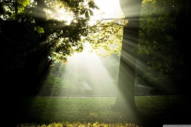 Sunny And Foggy Morning HD Desktop Wallpapers : High Definition ...