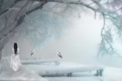 Winter Fantasy Backgrounds   1900529