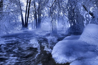 Winter Wallpapers HD