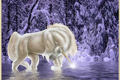 Winter Unicorn Fantasy Fantasy Photo (33122396) Fanpop