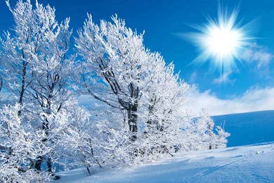Winter Morning Wallpapers Free Download