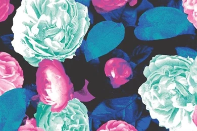 Wallpapers On Pinterest