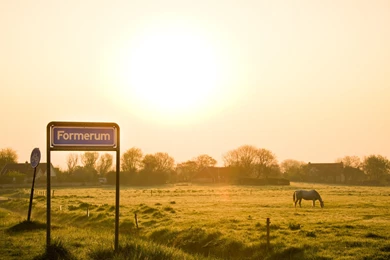 Download Terschelling In The Morning Wallpapers   Wallpapers Printed