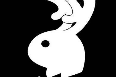 Funny Iphone Wallpapers 377 Xe   WallpaperXe.com