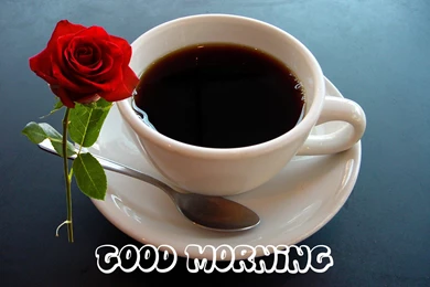 Good Morning Images, Quotes, Wallpapers For Whatsapp [Top 100]