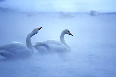 Lego (id: 176913) – BUZZERG