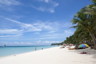 Beautiful, Background, Life (