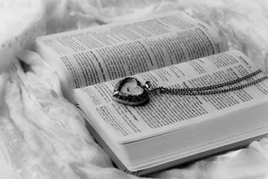 1920x1200   Magic4Walls.com