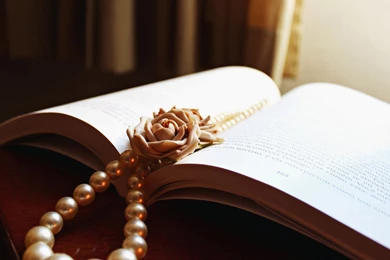 Book Beads White Rose Flower Hd Wallpapers Wallpapers