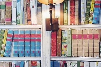WALLPAPER DIARIES: BIBLIOTHEQUE