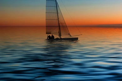 New Mobile Wallpapers   HD Wallpaper Backgrounds Of Your Choice