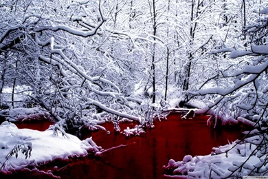 Bloody Winter HD Desktop Wallpapers : High Definition : Fullscreen ...