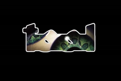 Tool Computer Wallpapers, Desktop Backgrounds