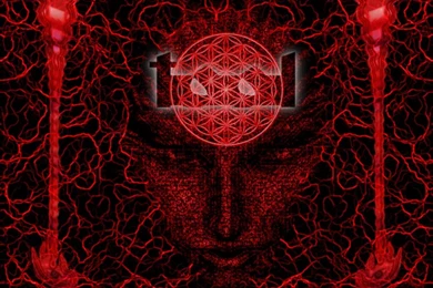 Kelsey Cooley: Tool Backgrounds