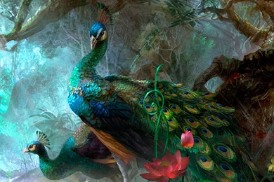 Painted Peacocks iPad Wallpapers Download