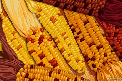 Free Wallpapers   Free Holiday Wallpapers   Thanksgiving Day ...