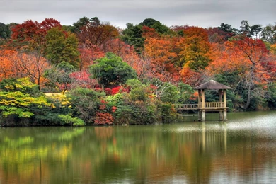 Free Nature Wallpapers