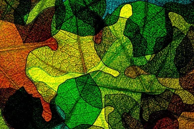 Beautiful 1024×1024 HD Wallpapers For Tablets