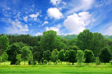 Beautiful Nature Wallpapers Hd   Latest Wallpapers