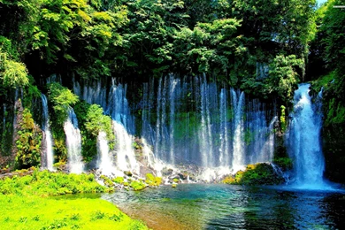 Beautiful Waterfalls In The Forest Wallpapers