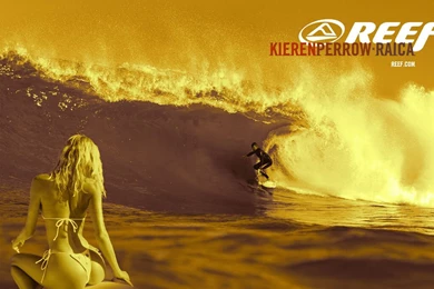 Reef Surfing Wallpaper Images