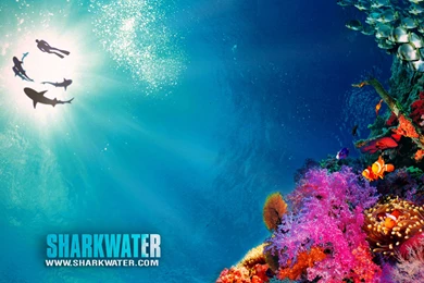 2015 10 09   Page 268