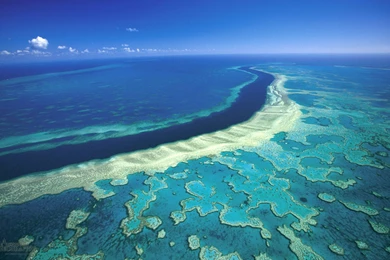 Alan Fincher: Great Barrier Reef High Quality Wallpapers