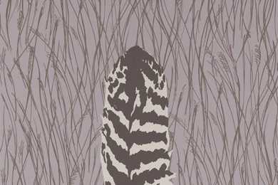 BITTERN FEATHER : DARK GREY WALLPAPER   DESIGNER WALLCOVERING ...