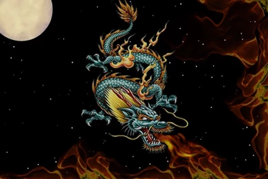 Accessories: Modern Image Of Red And Blue Oriental Chines Fire ...