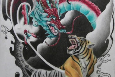 Oriental Dragon Tiger By LeeKelvin On DeviantArt