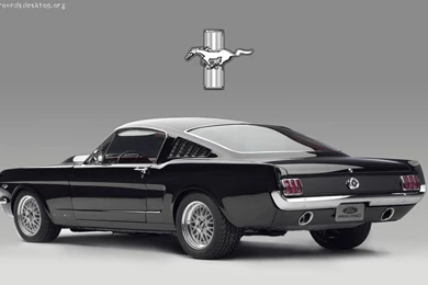 Mustang Images   Page 12