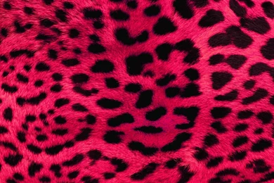 Animal Print Desktop Backgrounds Wallpapers Cave