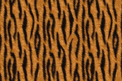 Free Images To Print   All Wallpapers New