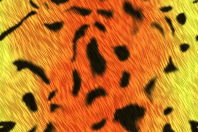 Tiger Print Wallpapers   Desktop Backgrounds