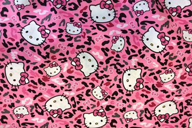 Cheetah Print Wallpapers Awesome B2X » WALLPAPERUN.COM