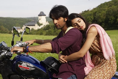 Bollywood Movie Rockstar 4K Wallpapers