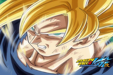 Goku   Dragon Ball Z Wallpapers   Anime Wallpapers